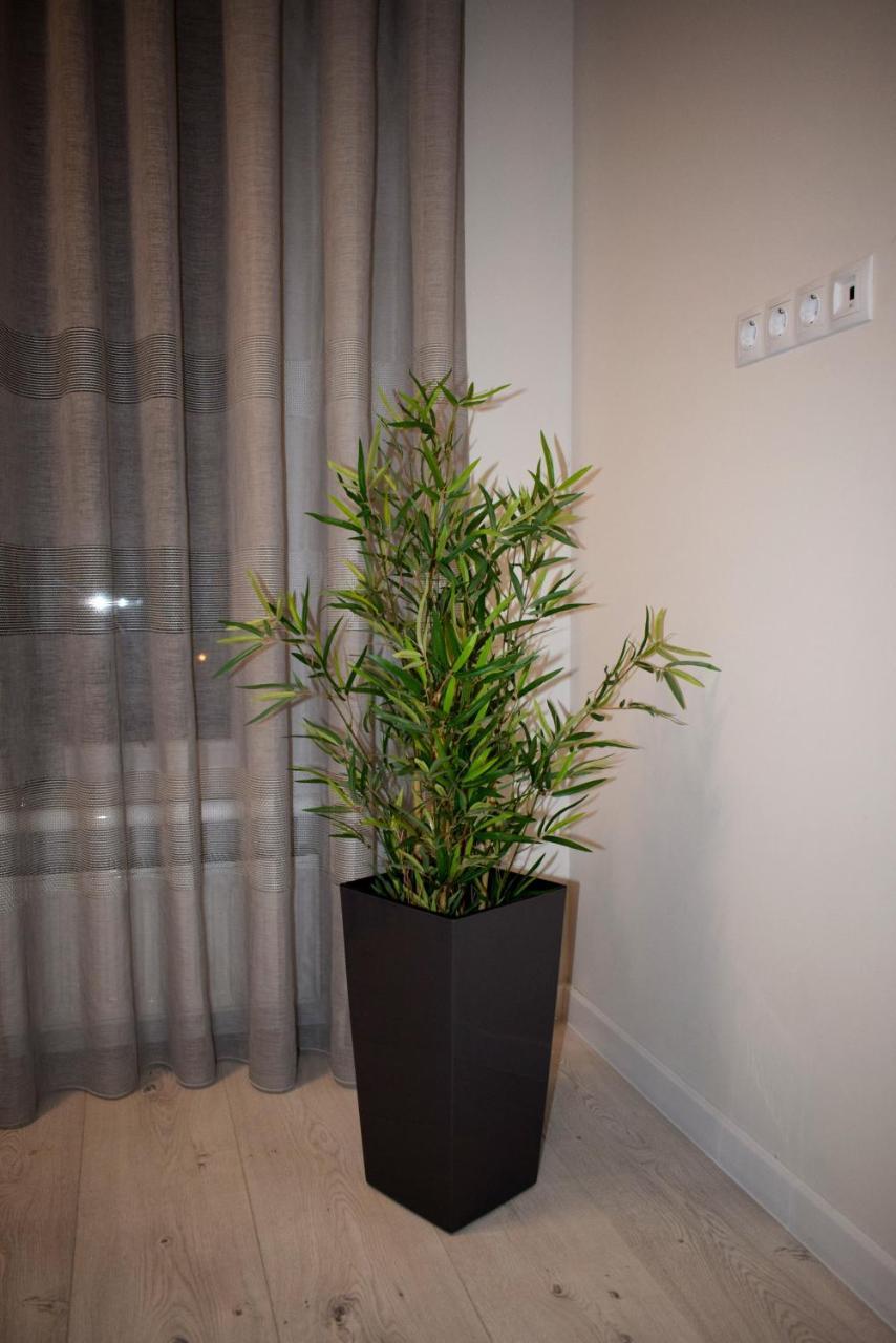 ריבנה Apartment On Volodymyra Stelmakha 1B מראה חיצוני תמונה